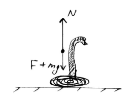 Forces acting on cobra