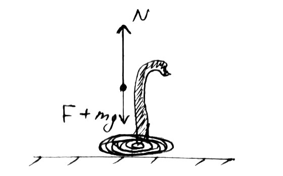  Forces acting on cobra |560x348, 39%